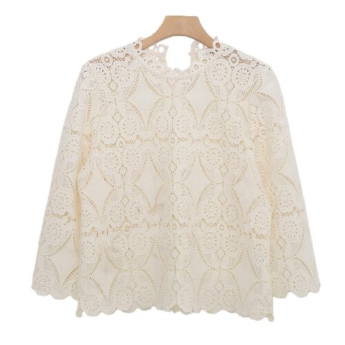 Elegant Long-Sleeve Crochet Top with High Neck Detail